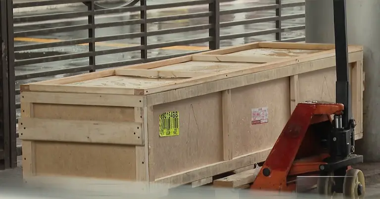 মরদেহবাহী কফিন